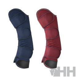 Protector Lexhis Transporte (Juego 4)
