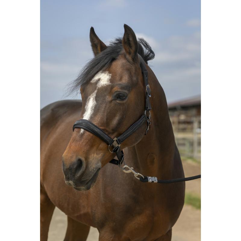 Cabezada De Cuadra Equithème "Nylon Strass"
