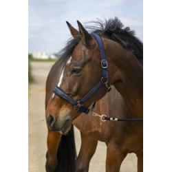 Cabezada De Cuadra Equithème "Nylon Strass"