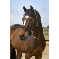 Cabezada De Cuadra Equithème "Nylon Strass"