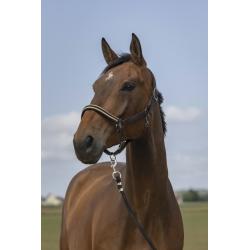 Cabezada De Cuadra Equithème "Nylon Chevron"