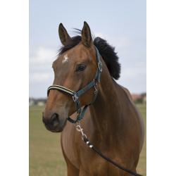 Cabezada De Cuadra Equithème "Nylon Chevron"