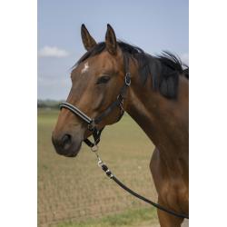 Cabezada De Cuadra Equithème "Nylon Chevron"