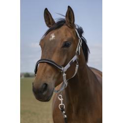Cabezada De Cuadra Equithème "Nylon Chevron"