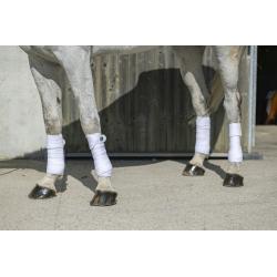 Vendas De Polo Riding World "Eco"