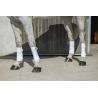 Vendas De Polo Riding World "Eco"