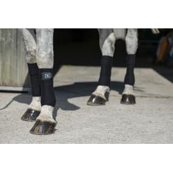 Vendas De Polo Riding World "Eco"