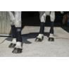 Vendas De Polo Riding World "Eco"
