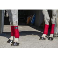 Vendas De Polo Riding World "Eco"