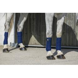 Vendas De Polo Riding World "Eco"