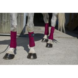 Vendas De Polo Riding World "Eco"