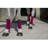 Vendas De Polo Riding World "Eco"