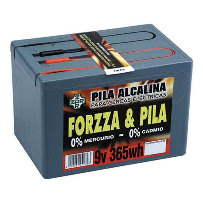 Pastor: Pila Modelo Forzza 9v 365w Alcalina