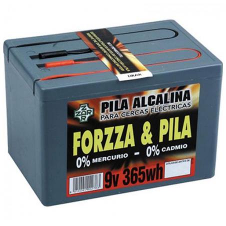  Pastor: Pila Modelo Forzza 9v 365w Alcalina