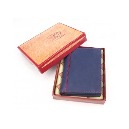 Cartera Hombre 2013 A