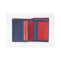 Cartera Hombre 2013 A