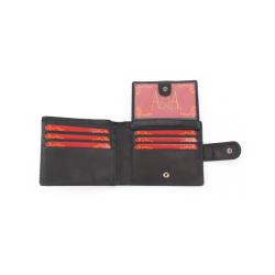 Cartera Hombre 2012 N