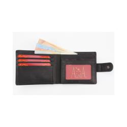 Cartera Hombre 2012 N