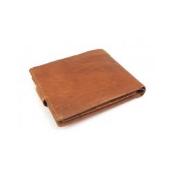 Cartera Hombre 2012 C