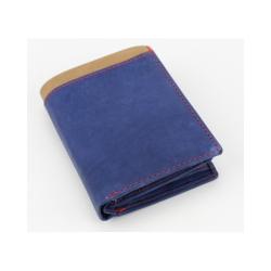 Cartera Hombre 2010 A