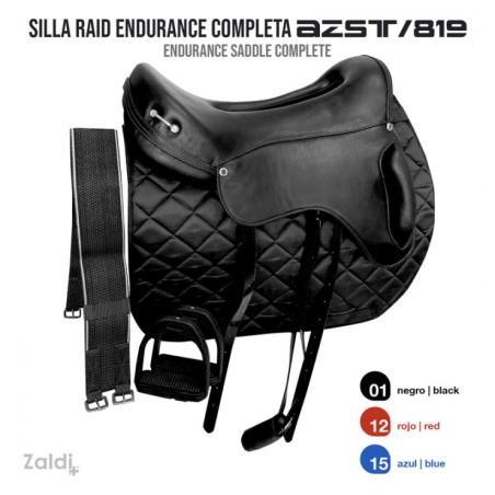 Silla Raid Endurance Azst 819 Completa