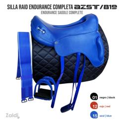 Silla Raid Endurance Azst 819 Completa