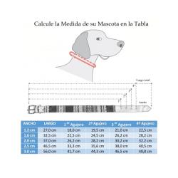 Collar De Perro 220/19