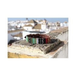 Collar De Perro 220/19