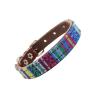 Collar De Perro 220/09