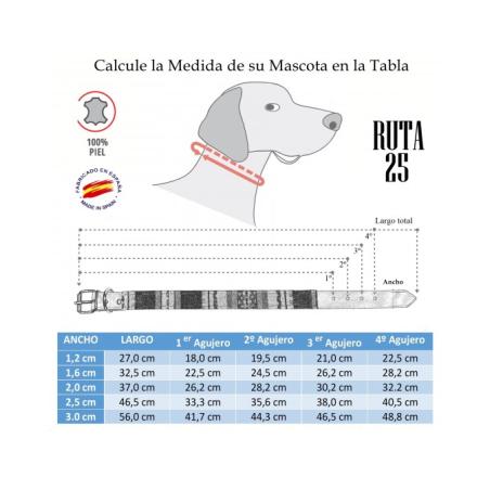 Collar De Perro 220/31
