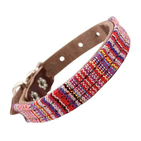 Collar De Perro 220/14