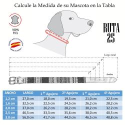 Collar De Perro 220/14