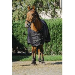 Camisa Brillante Riding World