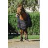 Camisa Brillante Riding World
