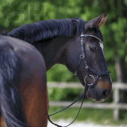 Filete Sprenger Wh Ultra Anilla 70Mm