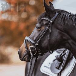 Filete Sprenger Kk Ultra Anilla D 80Mm