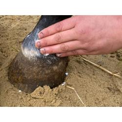 Animaderm "Natjely" Bálsamo