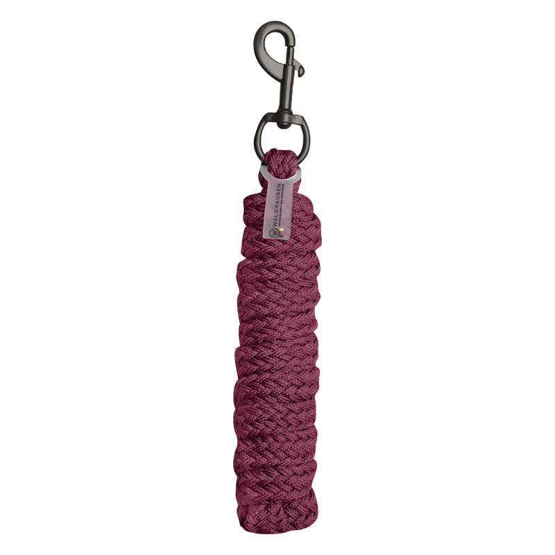 Ramal De Descanso Gloomy - Mosquetón