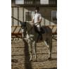 Polo De Malla Equitheme "Edy"