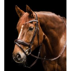 Brida Waldhausen S-Line Essential