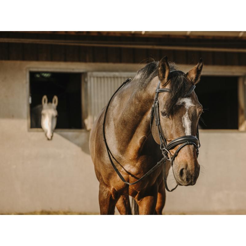 Cabezada De Montar Eric Thomas "Bat"