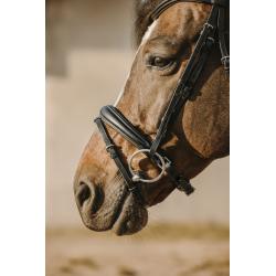 Cabezada De Montar Eric Thomas "Bat"