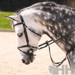 Filete Sprenger Nathe Elevador Anilla 70Mm