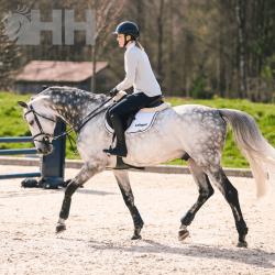 Filete Sprenger Nathe Elevador Anilla 70Mm