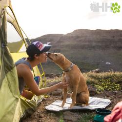 Cama Ruffwear Para Perros Highlands Pad