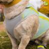 Chaleco Refrescante Ruffwear Para Perros (Con Cremallera) Swamp Cooler Zip