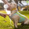 Chaleco Refrescante Ruffwear Para Perros (Con Cremallera) Swamp Cooler Zip