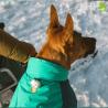 Chaqueta Ruffwear Para Perros Vert