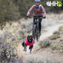 Zapatilla De Trail Ruffwear Para Perros Hi & Light (Par)