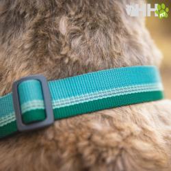 Collar Martingala Ruffwear Para Perros Chain Reaction